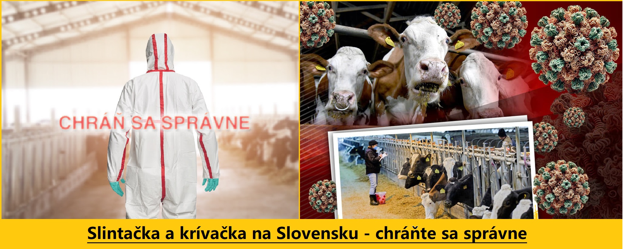 Slintačka a krívačka na Slovensku